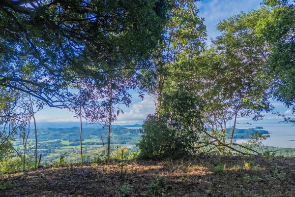 Increíble propiedad en venta en mountain ridge