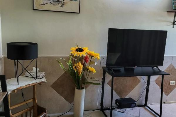Home plus 2 apartments and casita for sale