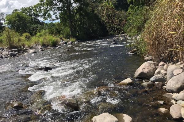 Expansive 146.652 ha property with water sources