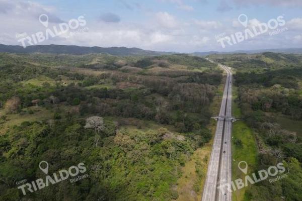 Finca en nuevo san juan , colón , 250 ha