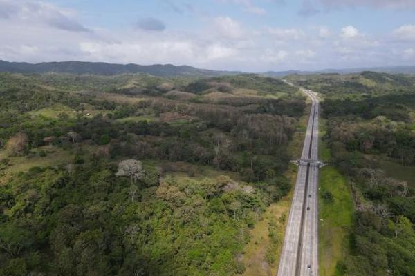 Finca en nuevo san juan , colón , 250 ha