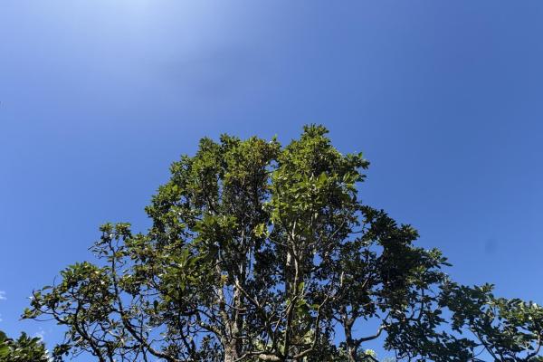 Commanding panoramic view of volcan baru