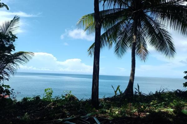 Land 172 acres in puerto armuelles, limones io