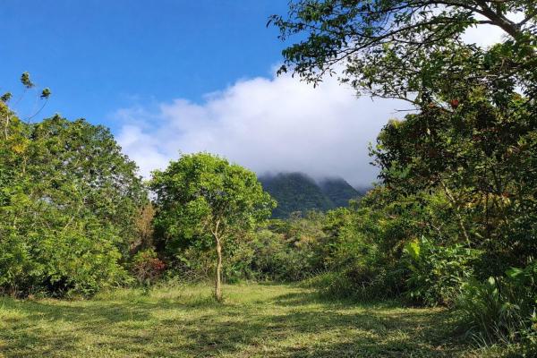 Exceptional mountain lot in el valle de antón!