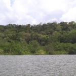 Venta de terreno cerca del lago gatún