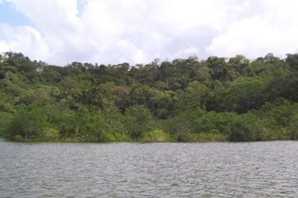 Venta de terreno cerca del lago gatún