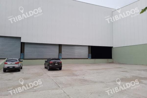 Alquiler de galera en las mañanitas