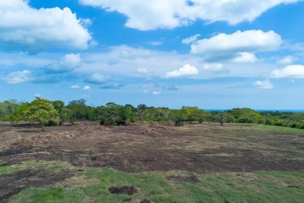 Terreno de 8 hectáreas en venta con acceso a la carretera panamericana.