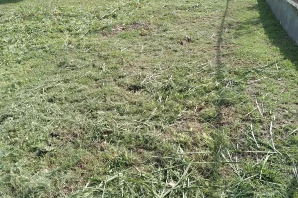 Venta de terreno en coronado golf
