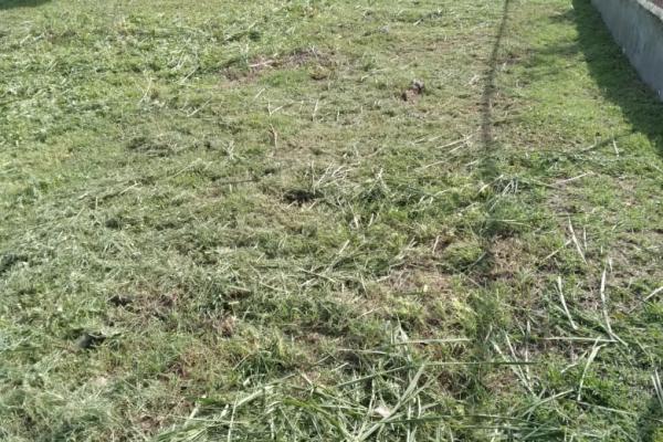 Venta de terreno en coronado golf