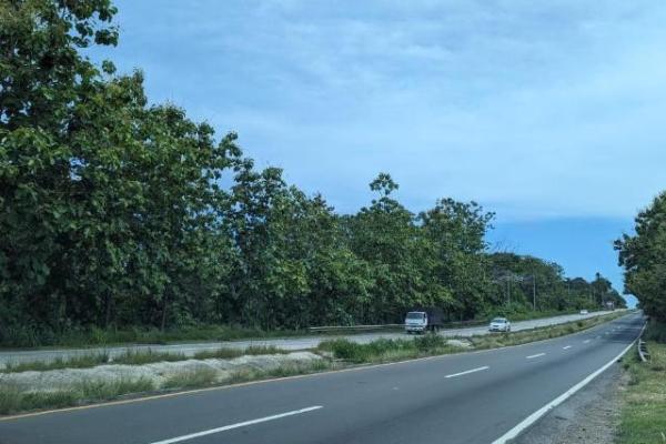 Venta de finca en la ermita