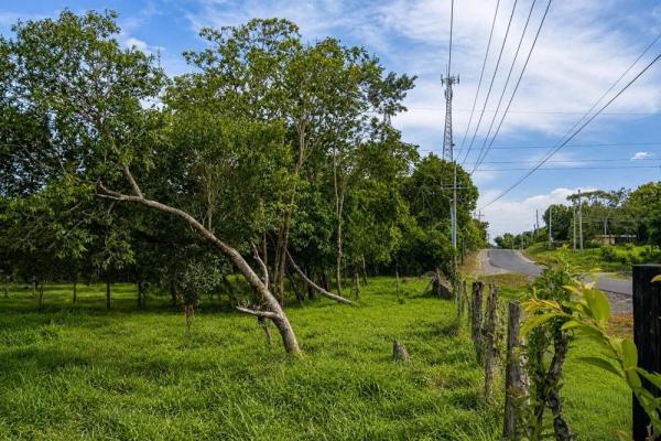 7.97 acres of land for sale on the road to caldera