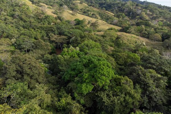 Cambutal lush property for sale near town