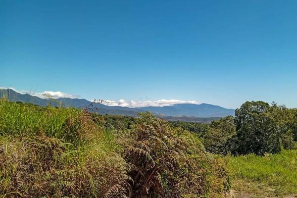 22 hectares with creek and mountain views