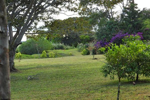 Finca campestre con múltiples edificaciones en palmira