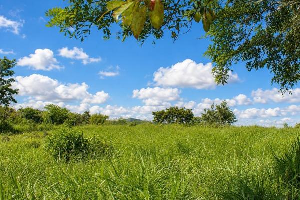 16,113 m² land with creek & mountain views, dolega