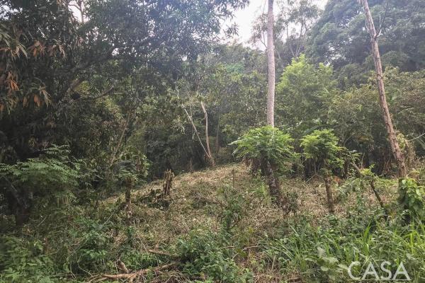 Terreno de 4 hectáreas en venta en veracruz, panamá