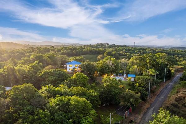 55 hectare cattle farm for sale in colon
