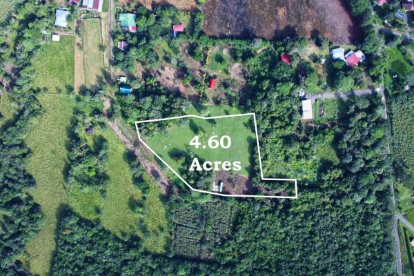 Lote de 1.86 hectáreas en potrerillos arriba dolega