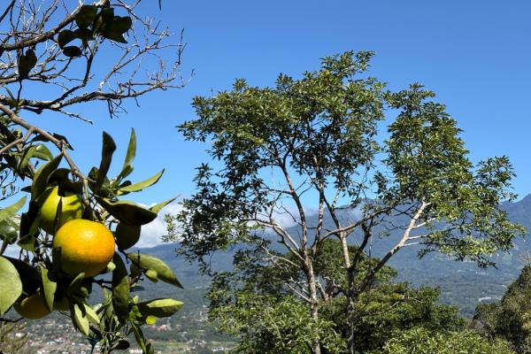 Commanding panoramic view of volcan baru