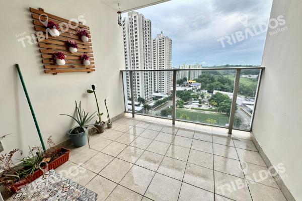Venta apartamento rokas condado del rey