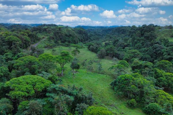 Naturaleza, espacio y potencial en un solo lugar
