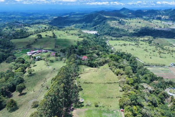 Land for sale – boquerón, cordillera arriba