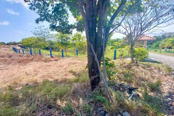 Project in lajas with permit for a development