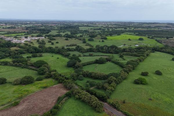 For sale land 9.8 hectares in las tablas