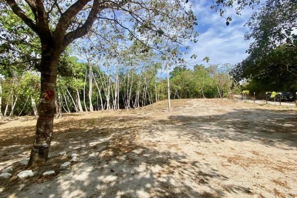 4.3 hectares finca – ideal community project