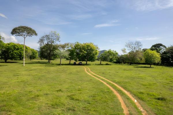Four hectare property for urbanization in david