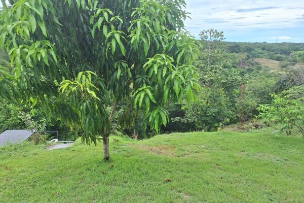 Casa con piscina y 1,8 hectáreas de terreno