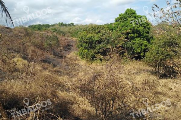Venta de terreno en punta barco