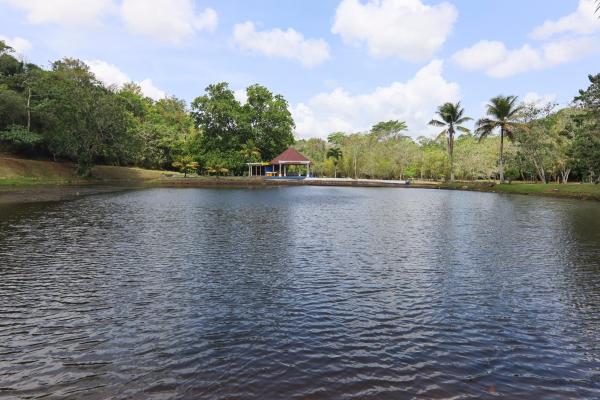 Brisas de los lagos in chorrera for sale and rent