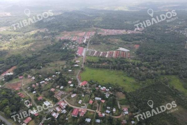 Venta de terreno para desarrollo de casas en arraijan