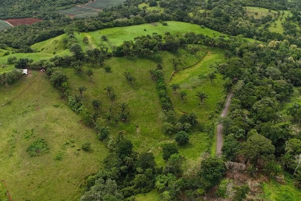 Land for sale in el trapichito, la chorrera
