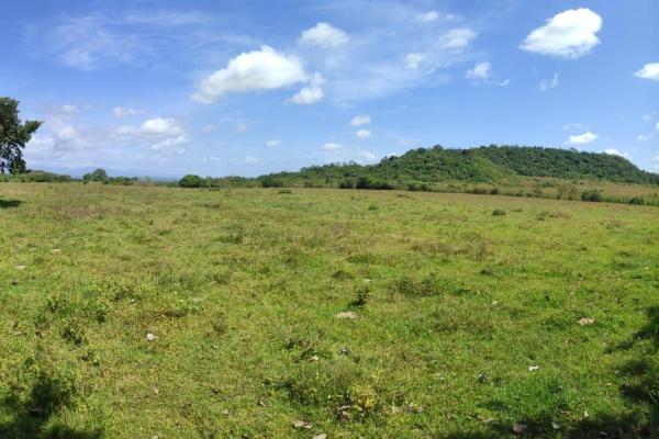 Investor opportunity: high-growth area in veraguas