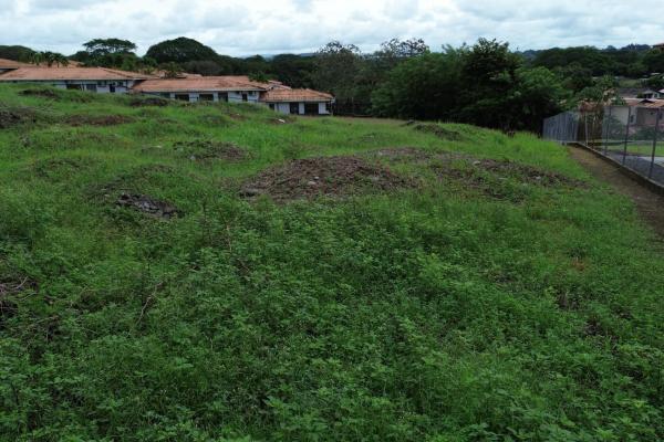 Commercial lot for sale in david