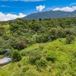 Flat coffee land with mountain views in palmira