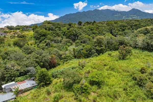 Terreno llano para la producción de café con vistas a la montaña en palmira