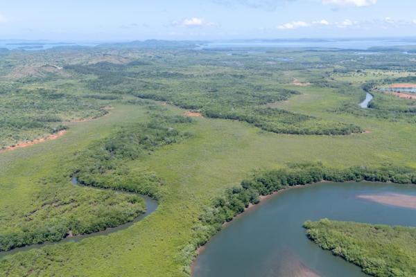 Commercial property in boca chica