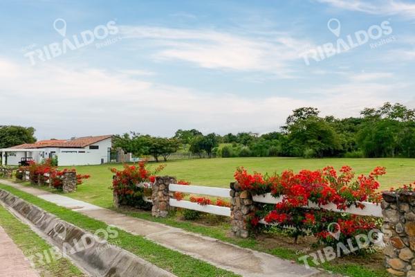 Venta de terreno en punta barco village
