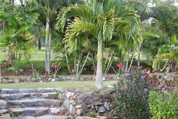 Finca campestre con múltiples edificaciones en palmira