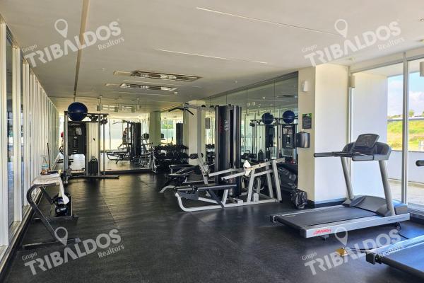 Venta o alquiler de apartamento en ph greenwood tower, tumba muerto
