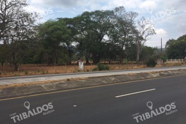 Se vende terreno en sajalices