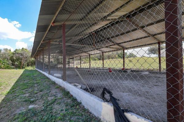 Venta de granja con mejoras en san carlos