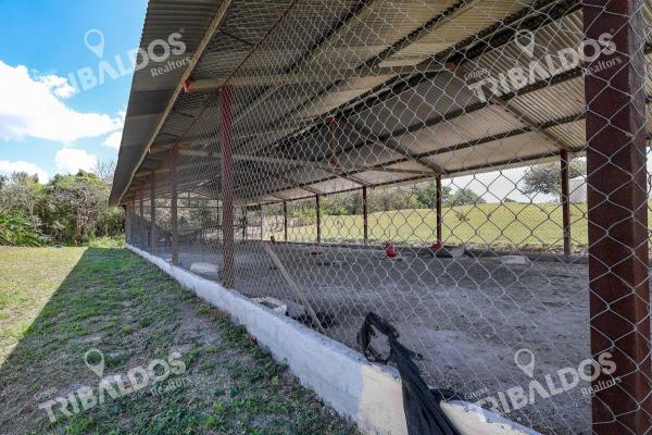 Venta de granja con mejoras en san carlos
