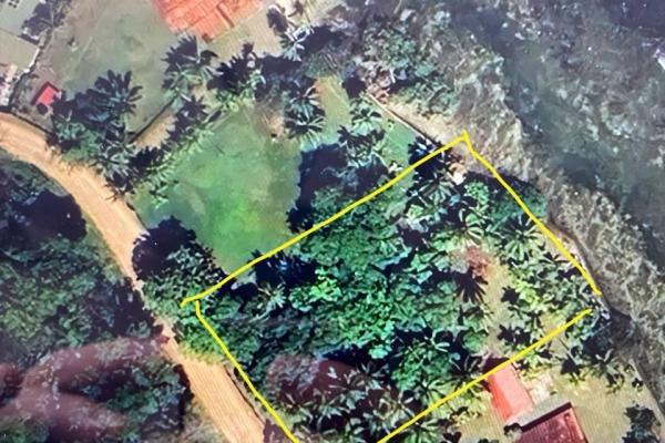 Caribbean oceanfront land in panama