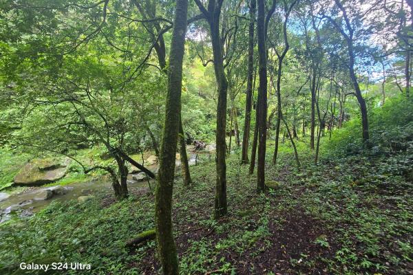 Terreno de 6,9 ha junto a boquete country club — venta de globo entero