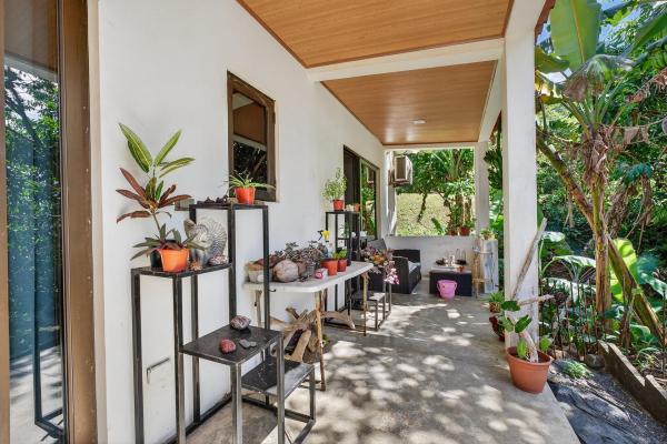 Oceanfront home with swimming pool in mata oscura